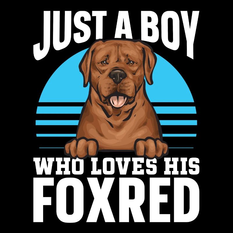 Fuchsroter Labrador Retriever Fox Red Labrador