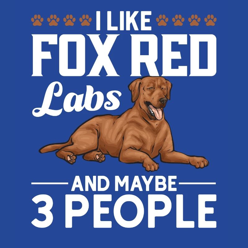 Fuchsroter Labrador Retriever Fox Red Labrador
