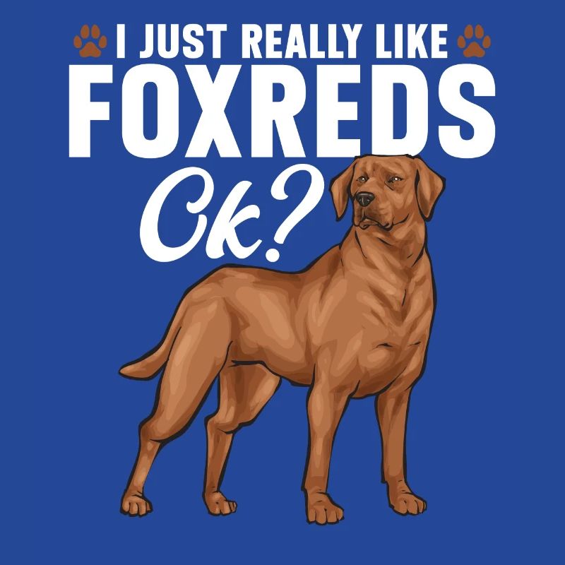 Fuchsroter Labrador Retriever Fox Red Labrador
