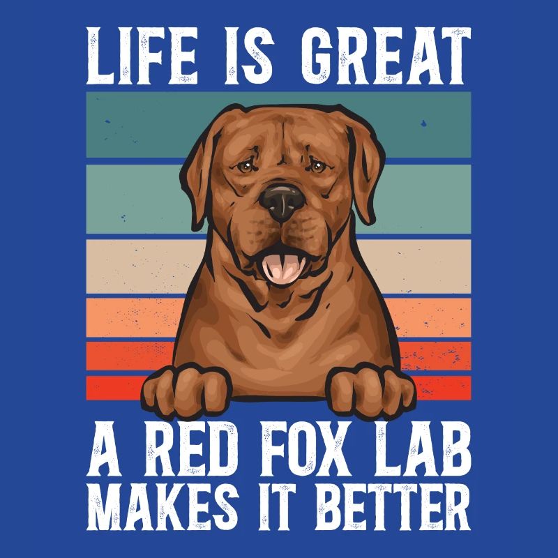 Fuchsroter Labrador Retriever Fox Red Labrador