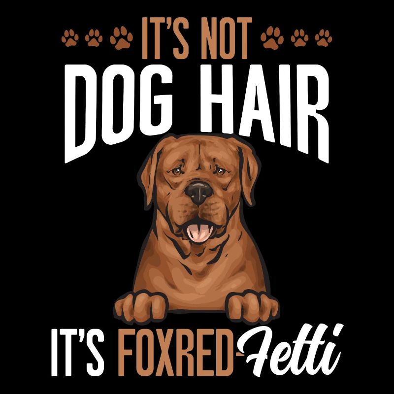 Fuchsroter Labrador Retriever Fox Red Labrador