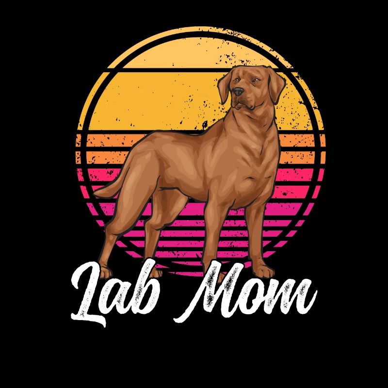 Fuchsroter Labrador Retriever Fox Red Labrador