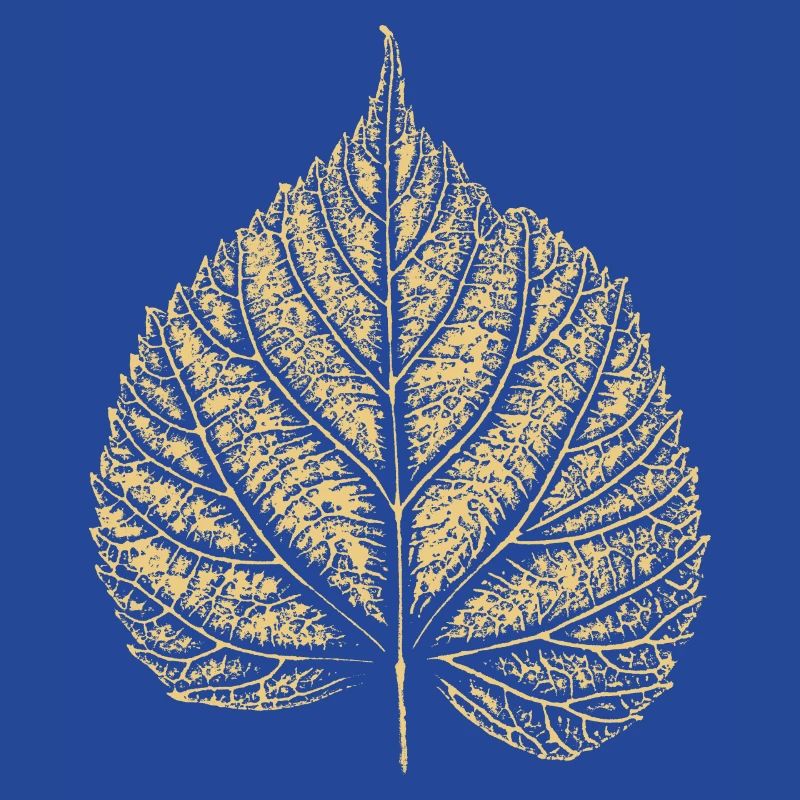Linden leaf / Linden leaf 2