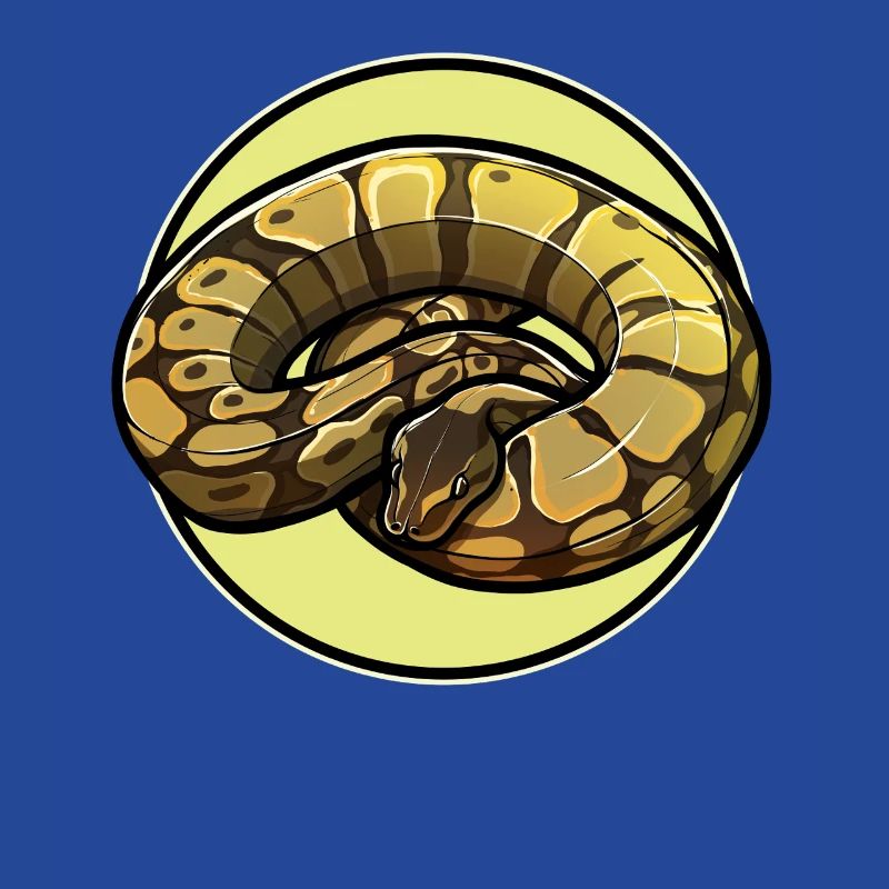 Ball Python Roi Python Roi Python