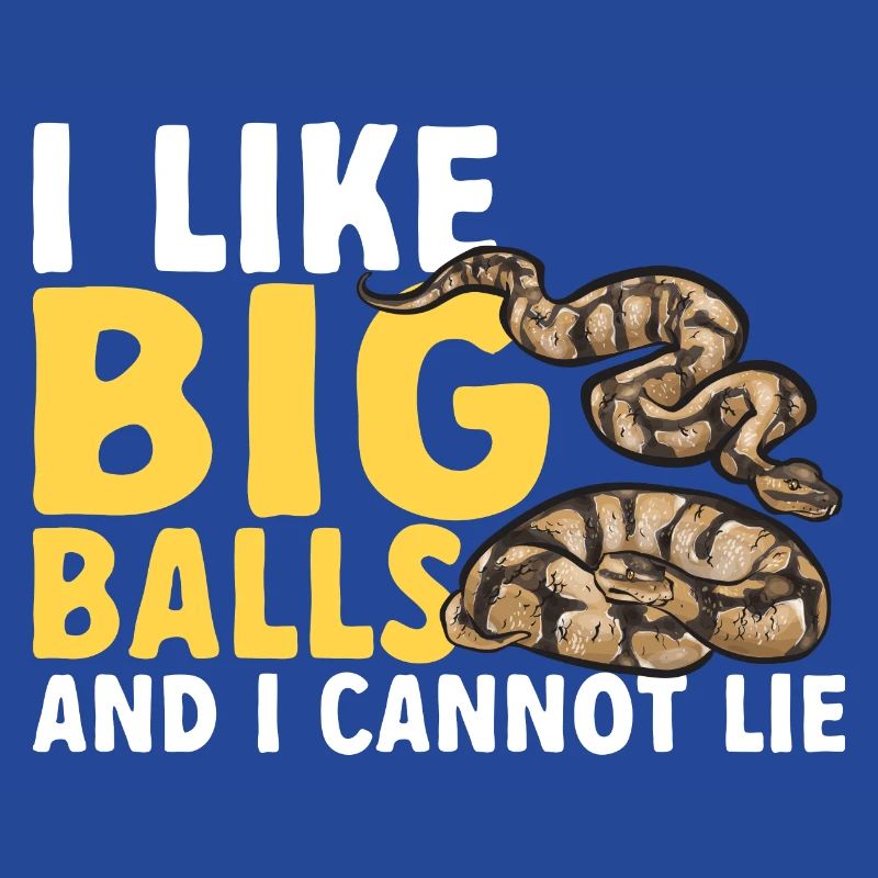 Ball Python Schlange Königspython