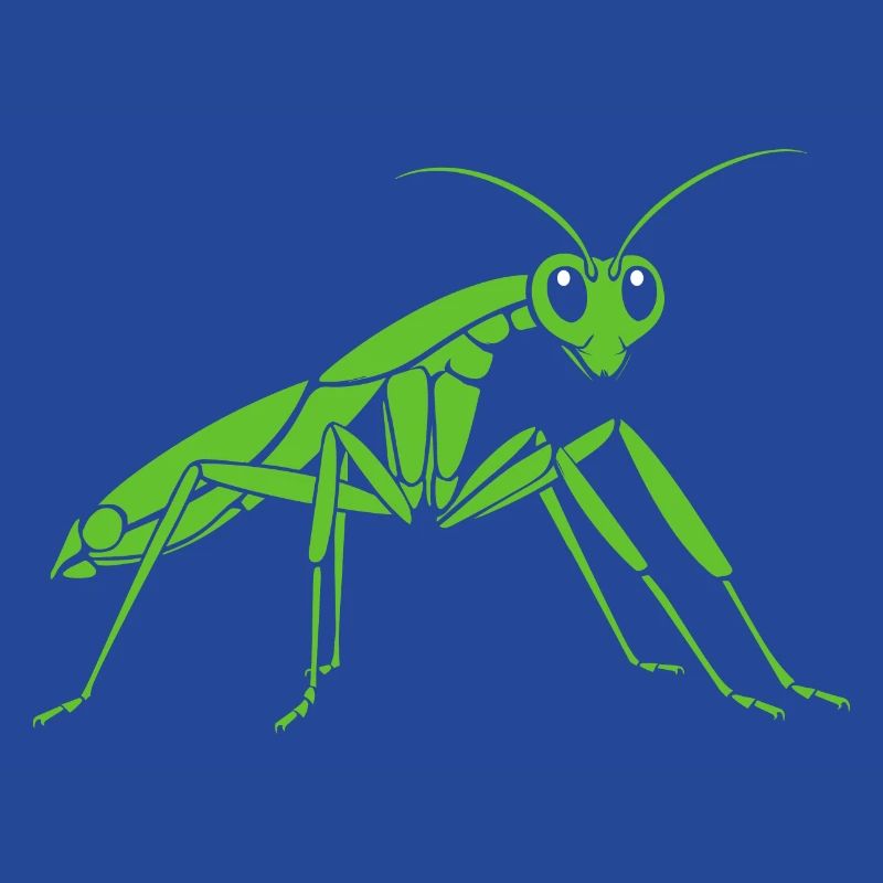 Praying mantis