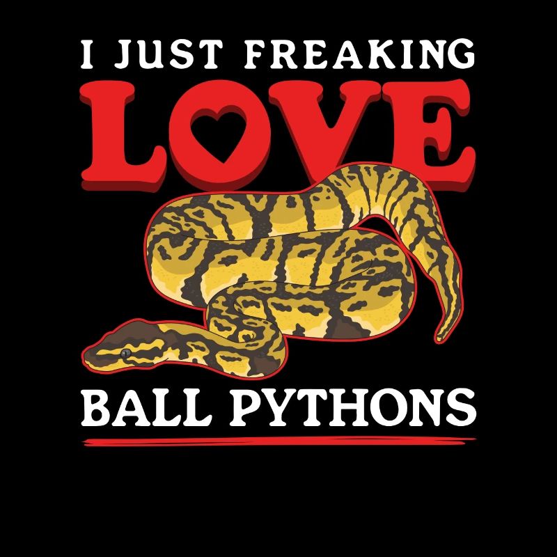 Königspython Schlangen Python Geschenke