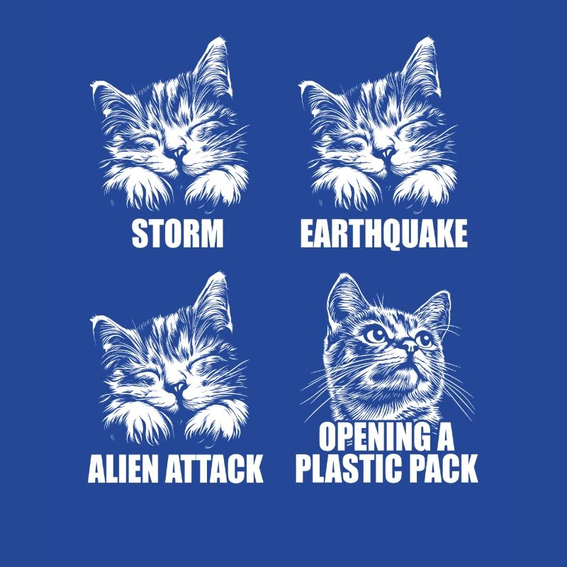 Chat - perception sélective - dire