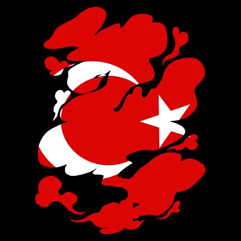 Drapeau de Turquie Utilisé Look Drapeau Turc Vintage