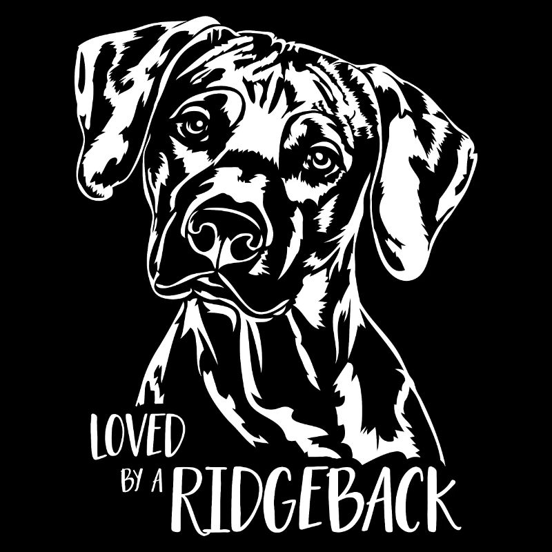 Aimé par un Ridgeback Dogs Rhodesian Ridgeback