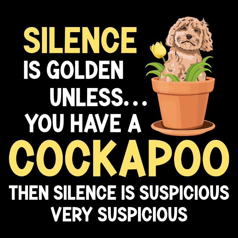 Cockapoo Dog