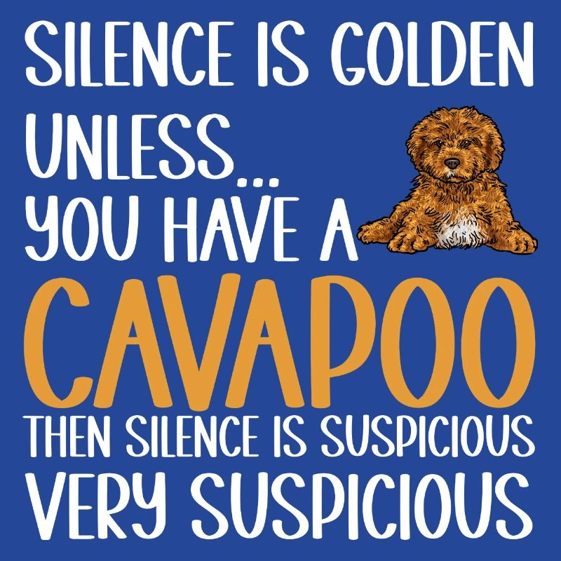 Cavapoo Cavoodle Capoodle Dog