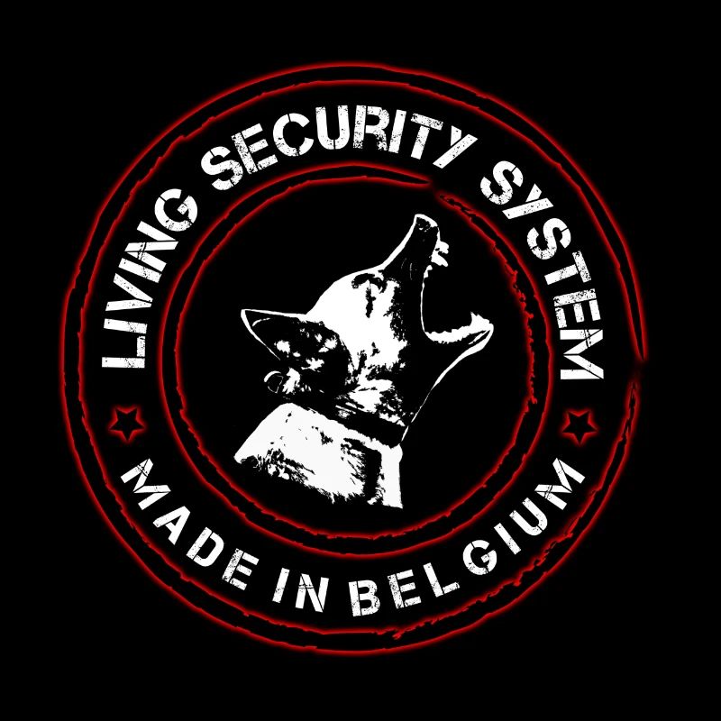 Mali_Security2