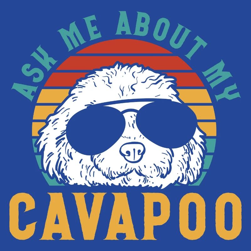 Cavapoo Cavoodle Capoodle Hund