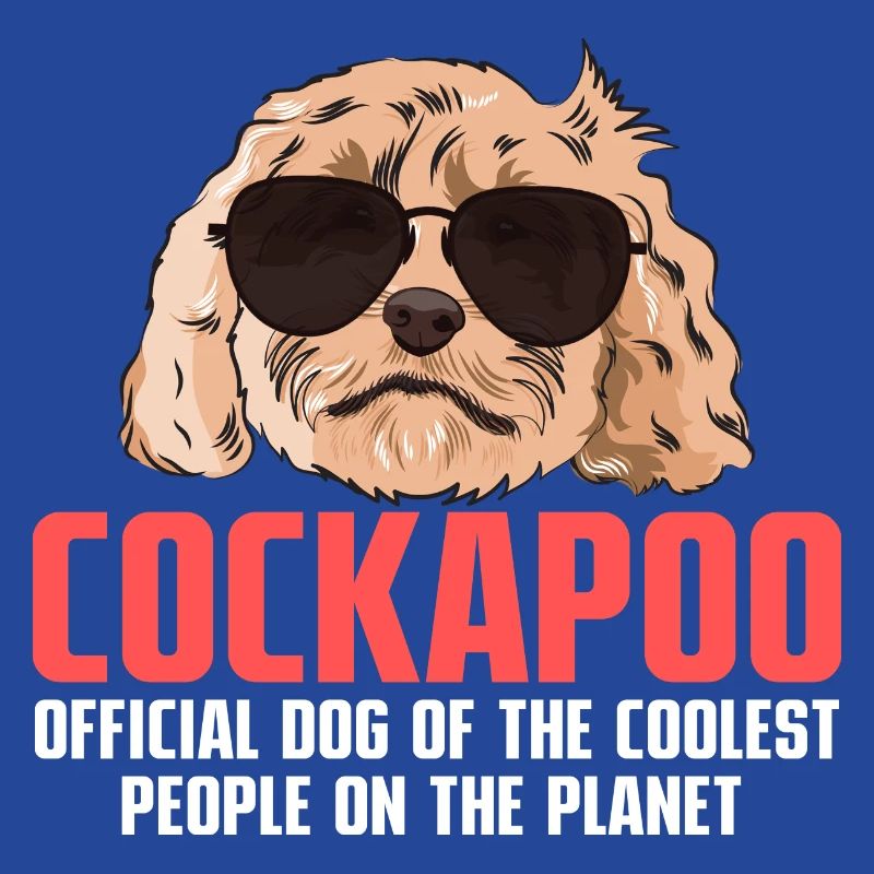 Cockapoo Dog