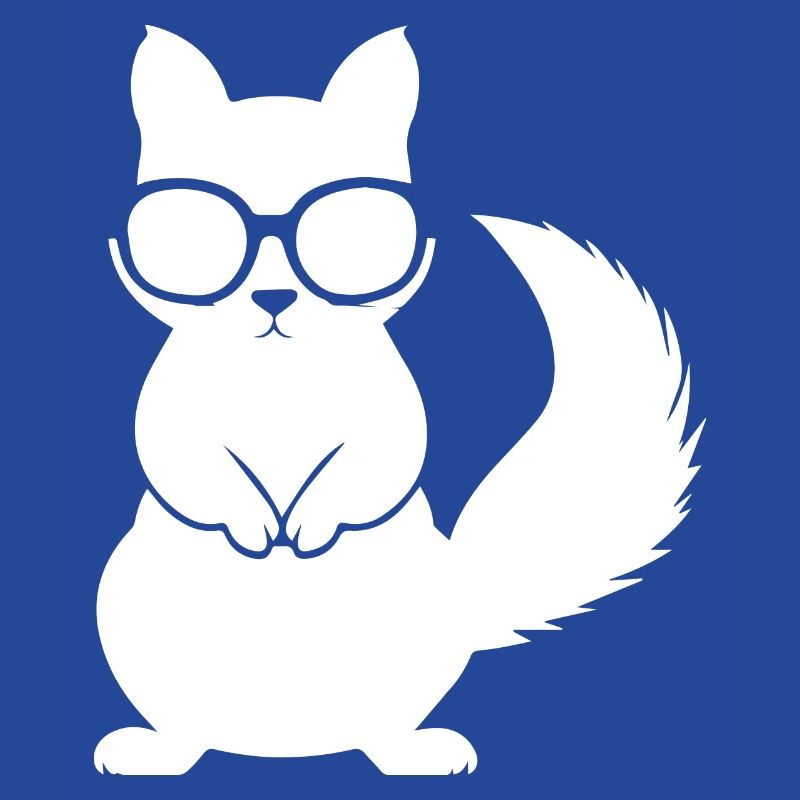 Funny Squirrel Wearing Sunglasses Squirrels