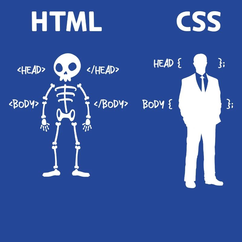 Code Css C++ Php Java Développeur Code Scripting
