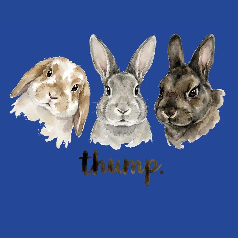 Fun rabbit knocking for rabbit lovers
