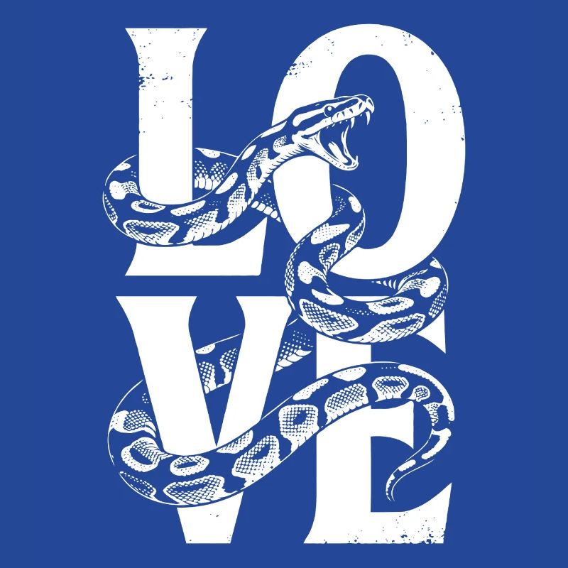 Les serpents rois Python ADORENT les pythons de terrarium