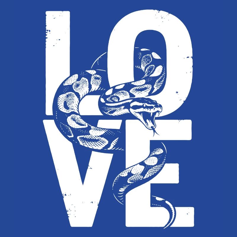 Les serpents rois Python ADORENT les pythons de terrarium