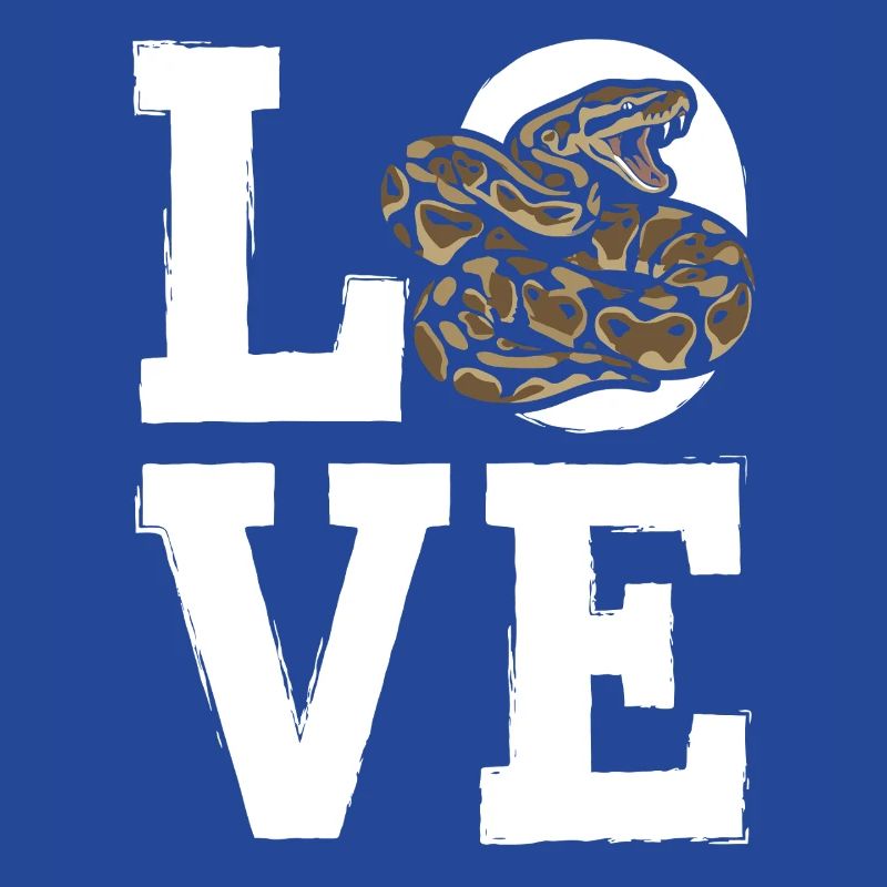 Les serpents rois Python ADORENT les pythons de terrarium