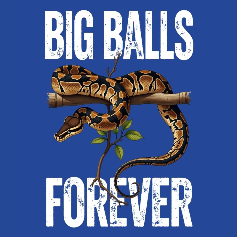 Königspython Schlangen Liebhaber Terrarium Python