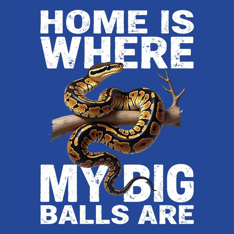 Python roi Serpents Amateurs de terrarium Python