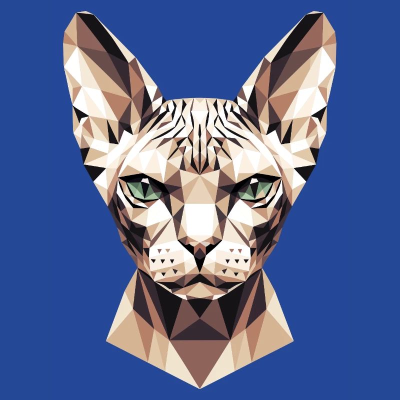 Sphynx Chat Sphynx Chat Chat Canadien Sphinx mignon