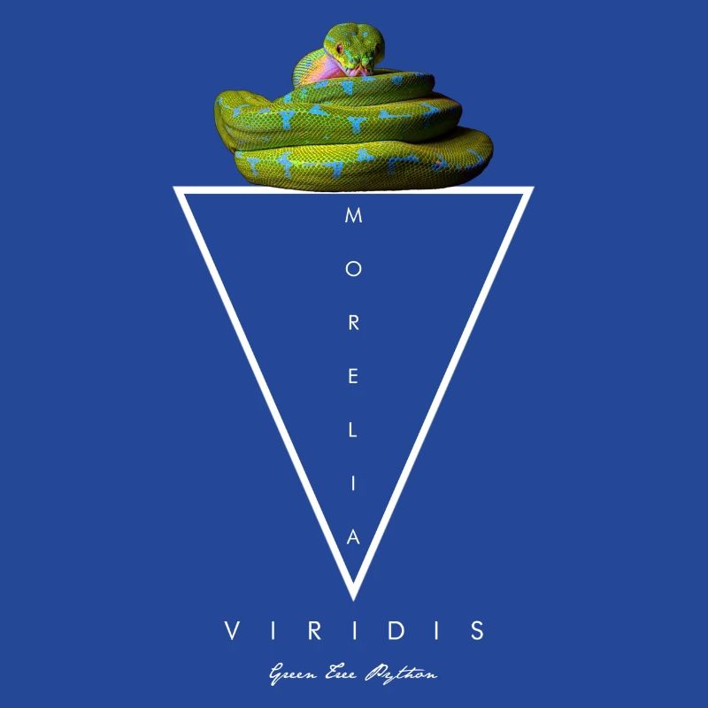 Green Tree Python Modern Geometric