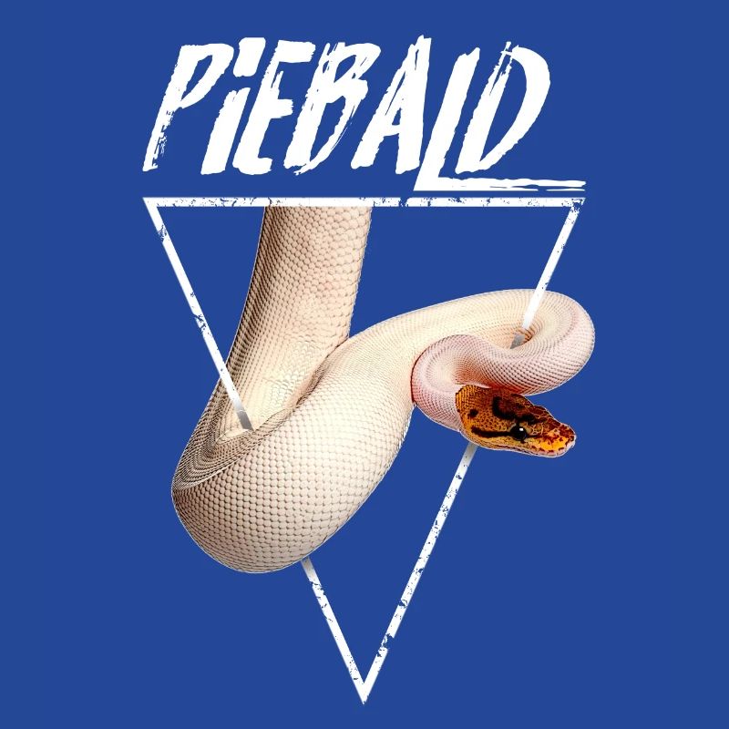 Piebald Ball Python Reptilienpfleger