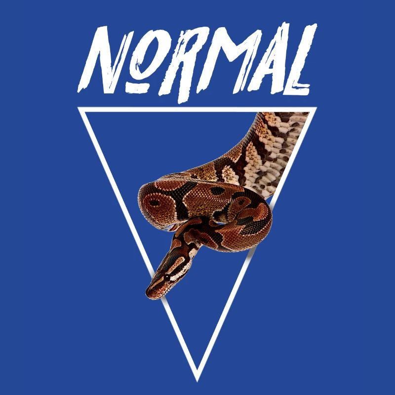 Normaler Ball Python Morph Schlange Besitzer