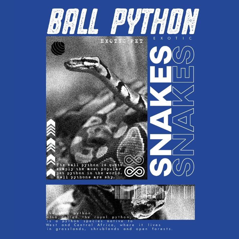 Ball Python Modern Streetwear Reptilienpfleger