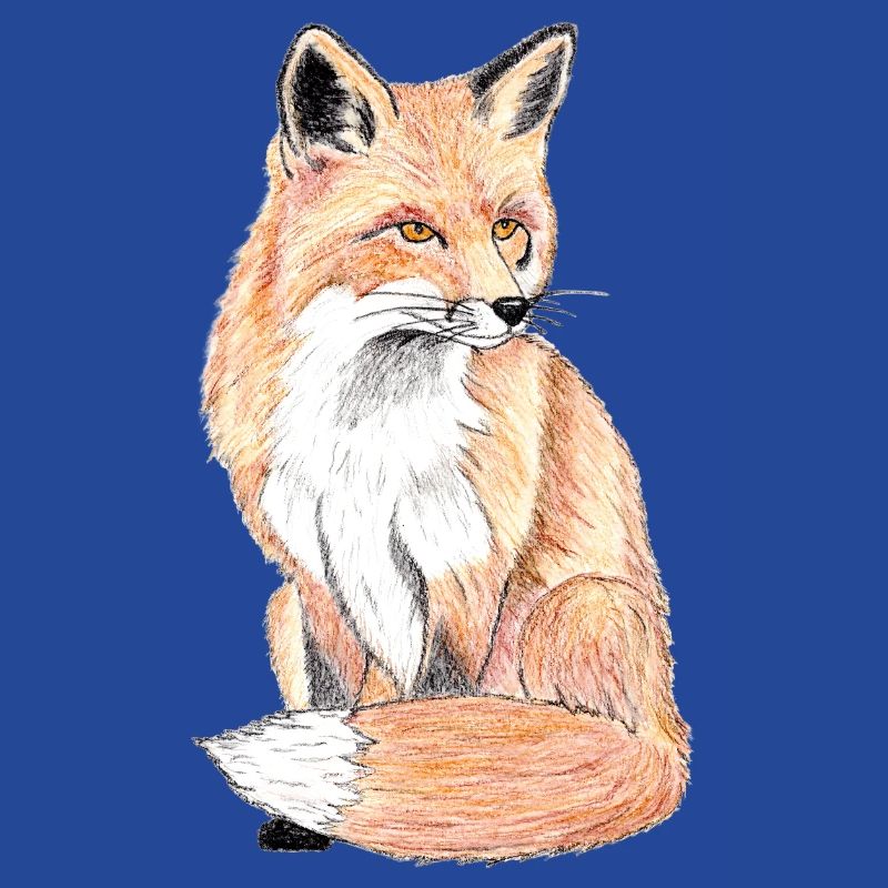 Kleiner Waldfuchs - ein sanfter Begleiter