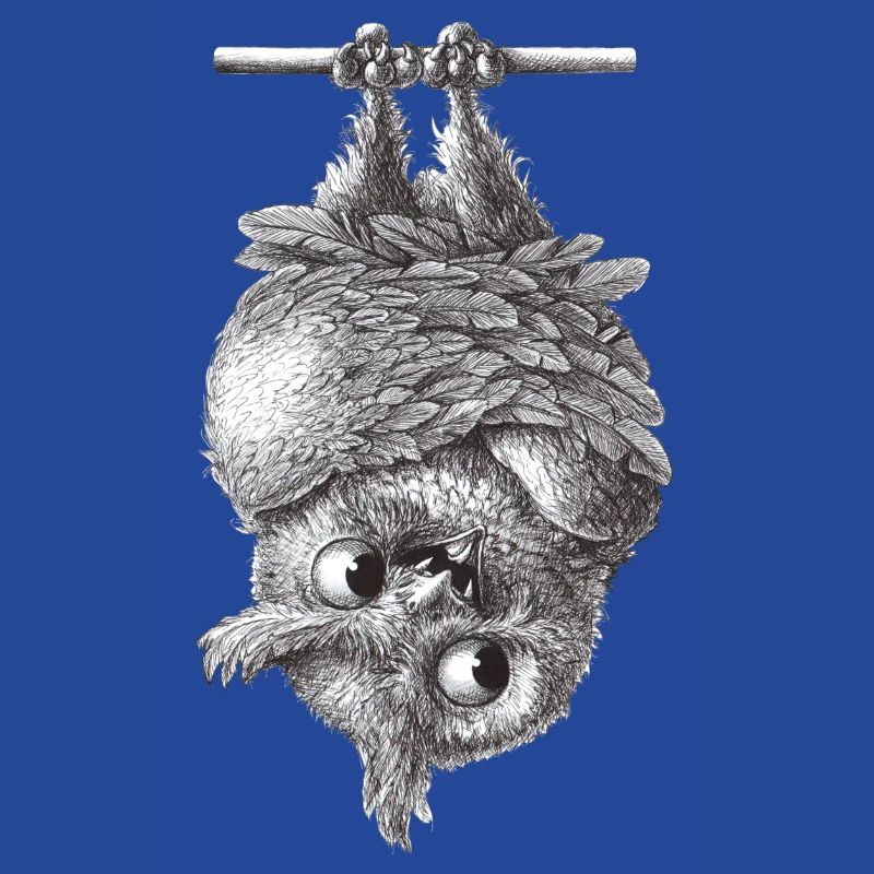 Vampir Eule - Dracula Eule