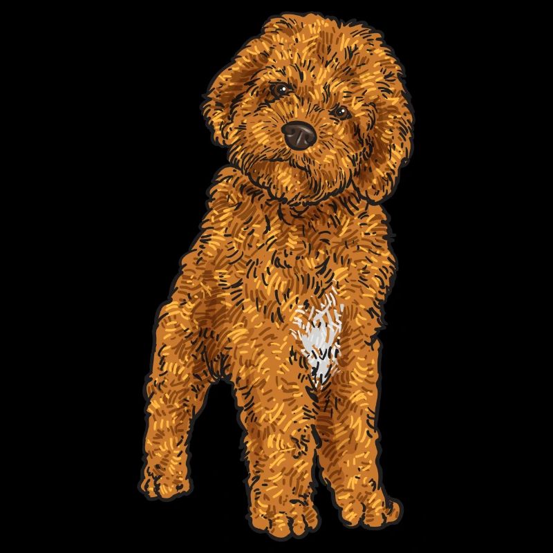 Cavapoo Capoodle Cavoodle Chien Cadeau