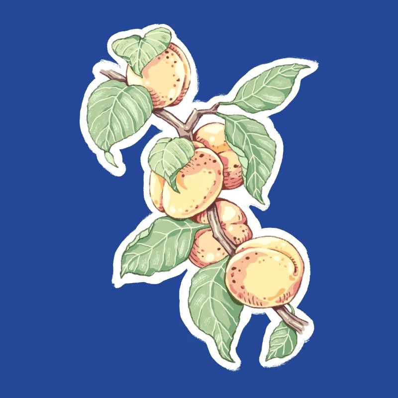 Ein Zweig Aprikosen oder Pfirsiche