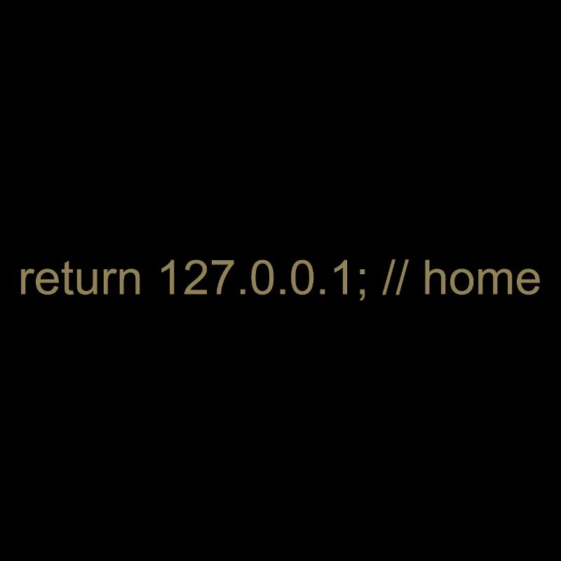 Programmer Nerd IT Joke Developer Home