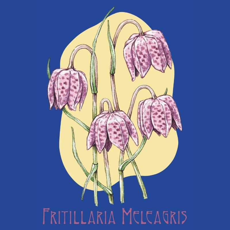 Cube checkerboard botanical drawing