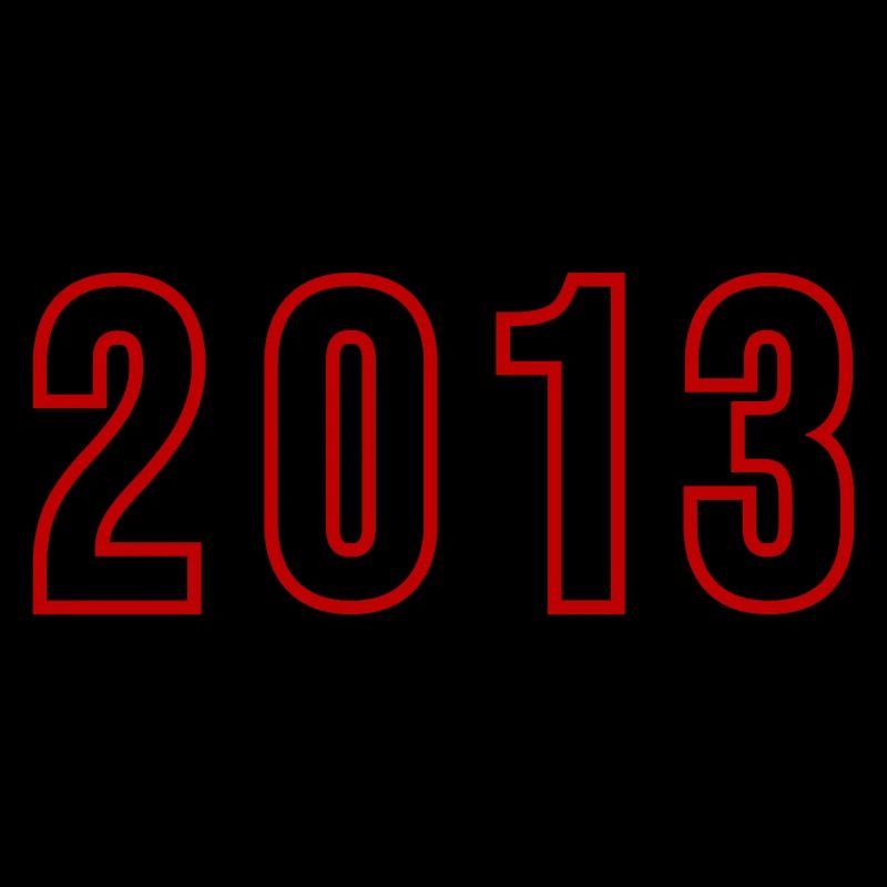 2013 Year Number