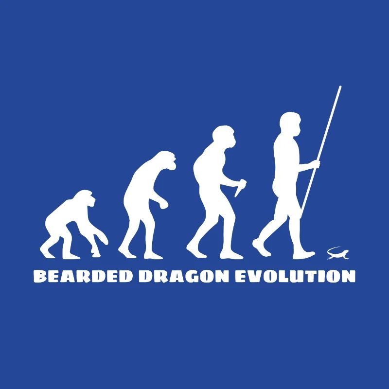 Dragon barbu Bartagame Evolution