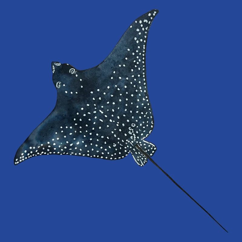 Rays Eagle Rays Stingrays Reef Plongée