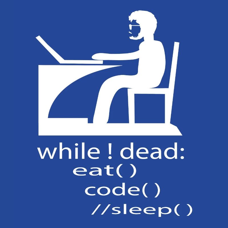 Softwareentwickler Programmierer Geschenk