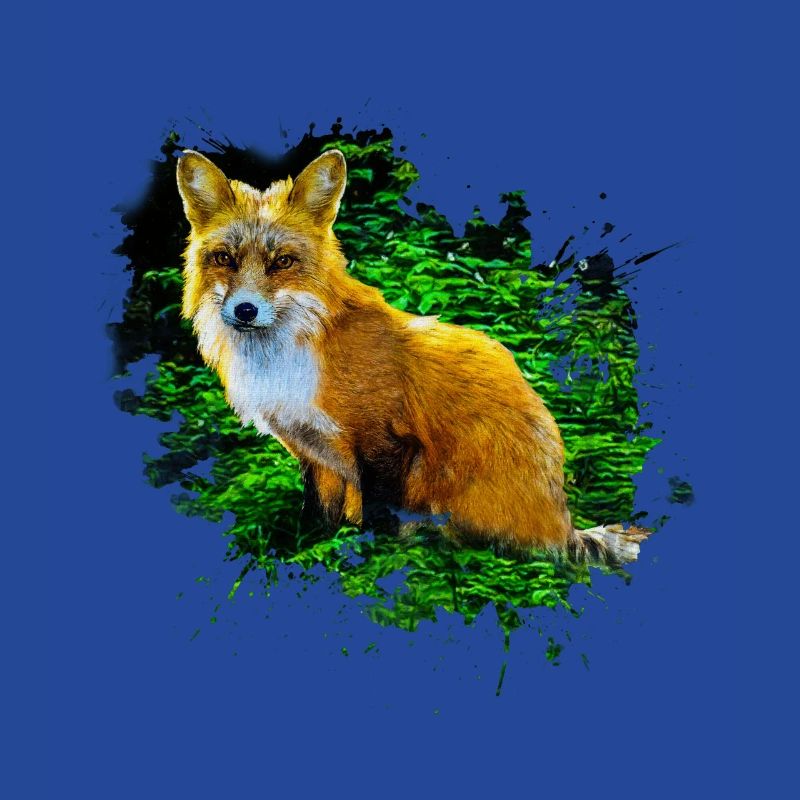 Predator Red Fox Fox Lover Fox