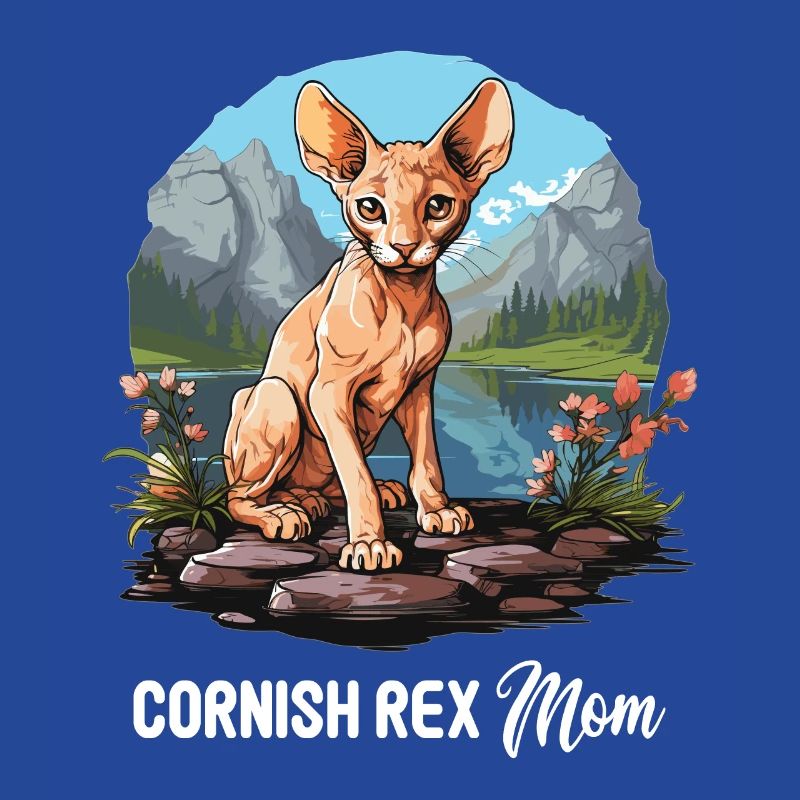 Cornish Rex Kätzchen Cornish Rex Katze