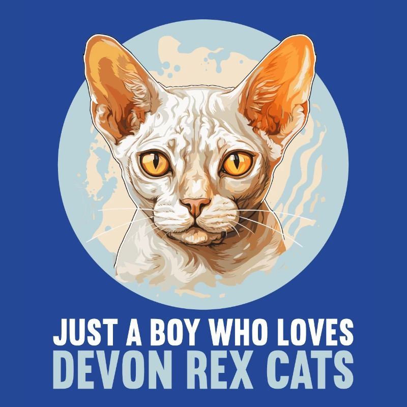 Devon Rex Kitten Devon Rex Cat