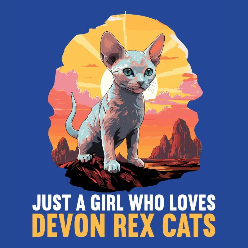 Chaton Devon Rex Chat Devon Rex
