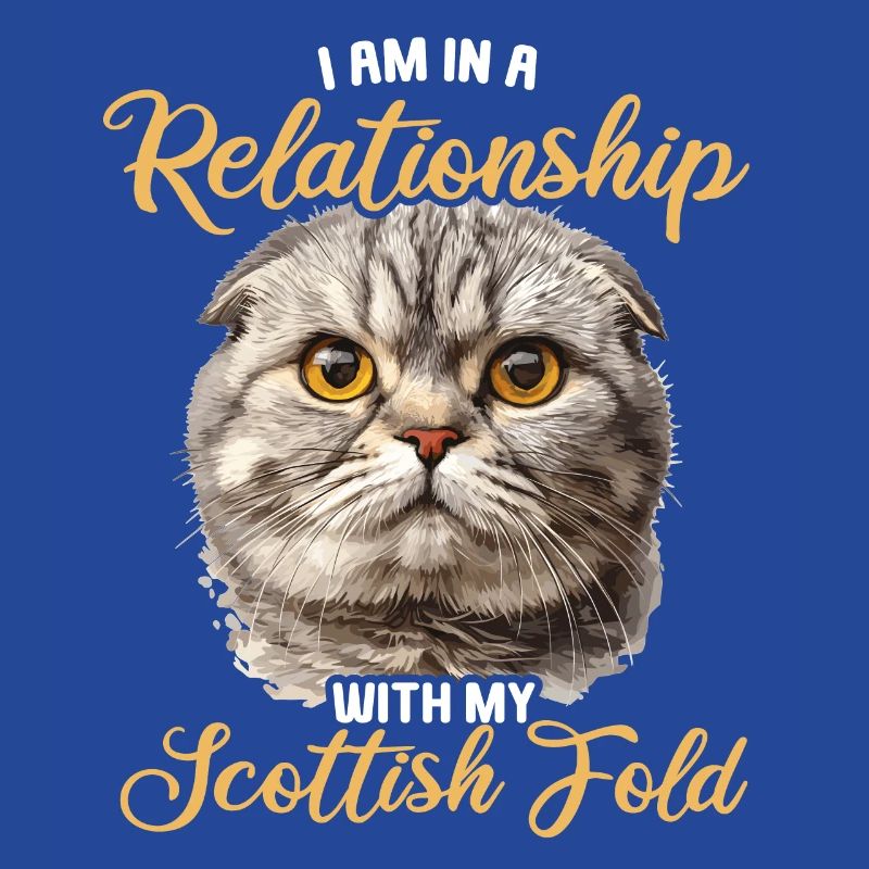 Scottish Fold Kitten Scottish Fold Cat