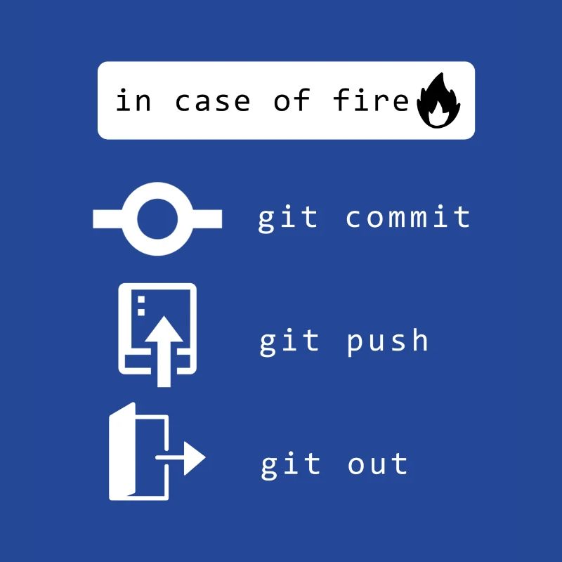 Programmer, Developer, Computer Scientist, Developer