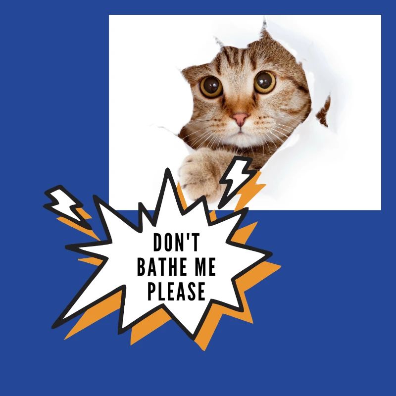 Ne me baigne pas chat