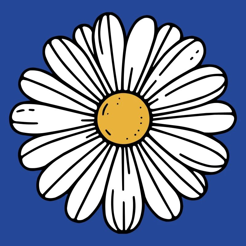 Gänseblümchen